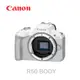 Canon EOS R50 BODY 白色 單機身(公司貨)