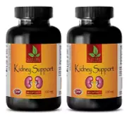 antiaging hair - KIDNEY SUPPORT COMPLEX - nettle horsetail tea 2B
