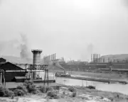 Coal Barges on Monongahela River, Pittsburgh, Pennsylvania 1938 Photo