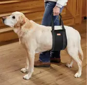 LOOBANI Size Medium Antislip Dog Sling for Back Legs Hip Support Harness - New
