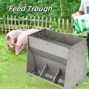 Automatic Feed Trough Hog Sow Piglet Feeder Suit For Farm Stainless