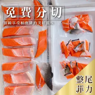 瓏鰉海鮮【頂級智利鮭魚整尾】5kg以上/整尾 市場少見 整尾鮭魚急速冷凍新鮮直送 整尾買最划算 免費代切 真空包裝 頂級