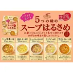 日本 DAISHO 五味即食綜合冬粉湯 10入裝