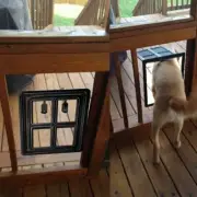 2-Way Dog Cat Pet Screen Window Gate Pet Door Home Porch Cottage Mesh Door Flap