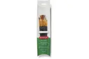 Derwent Academy Taklon Paint Brush Set 6 Pack