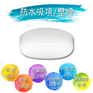 【亮博士】10入 LED 10W 橢圓形 防水防塵 吸頂燈 壁燈(1-2坪 浴室 陽台 戶外)