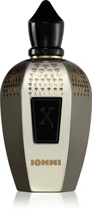 Xerjoff Tony IommiMonkey Special perfume - 100 ml