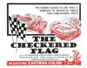 Checkered Flag 02 Movie Wall Art Poster Print Pick A Size Lot Up