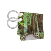 3dRose, USA, California. Trail through Muir Woods NM in springtime., Key Chain