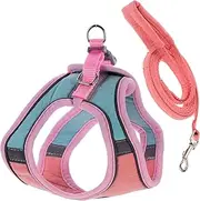 BESPORTBLE Cat Collar Harness and Leash Reflective Vest for Outdoor Activities Small Size Easy to Carry
