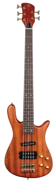 Essex NTB Series 5-String Bass Guitar Natural Satin Finish Neck Thru Design