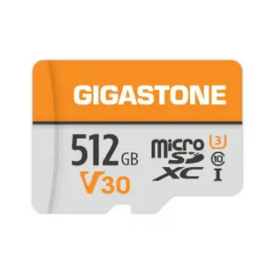 【GIGASTONE 立達】microSDXC UHS-Ⅰ U3 V30 512GB記憶卡(支援Switch/空拍機/手機/平板)