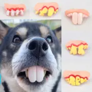 False Teeth Dog Funny Dentures Pet Decor Supplies Halloween Cosplay Vampires