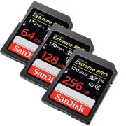 SanDisk Extreme Pro 256GB 128GB 64GB 32GB SD SDHC SDXC Card Lot Class10 200MB/s