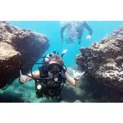 Save 10.00%! Beginner Scuba Diving Adventure with Videos in Honolulu