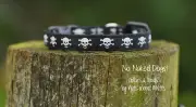 Skulls & Crossbones collars for cats square clip ltr post with tracking