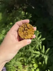 Tiger’s Eye Aquarius Zodiac Carving | Crystals, Astrology, Talisman