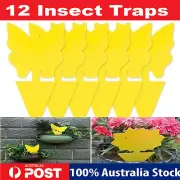 12pcs Sticky Flying Insect Traps Gnat Trap Sticky Bug Traps Paper for Indoor