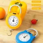 High Precision Metal With Hook Hanging Scale Kitchen Scale Spring Scale
