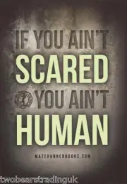 Postcard: The Maze Runner Books by James Dashner - If You Ain't Scared.. (Promo)