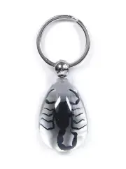 SCORPION Real Keychain Ring Genuine INSECT Bug Clear Key Chain Keyring Lucite