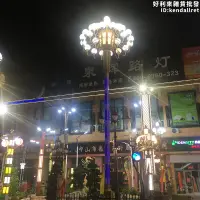 在飛比找露天拍賣優惠-8米LED路燈中華燈九頭燈罩廣場工程景觀道路社區戶外城市照明