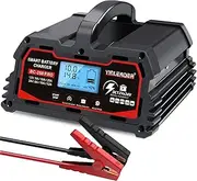 Battery Charger 25A, 12V/24V Lead-Acid Battery, 12V LiFePO4 Car Battery Trickle Charger, Automatic Battery Maintainer for Car Motorcycle Lawn Mower Marine Boat Lead Acid Batteries