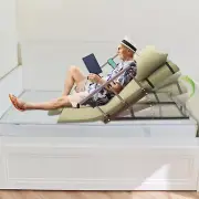 300kg Electric Lifting Backrest Elderly Electric Lifting Bed Backrest & Remote