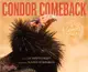 Condor Comeback