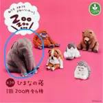 休眠動物園 P3 第三彈 大象 扭蛋 轉蛋 動物