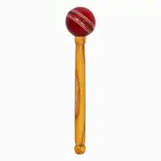 DSC Bat Mallet with Leather Ball Accessories