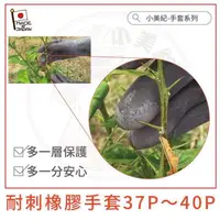 在飛比找蝦皮購物優惠-現貨【590超取免運】日本製耐刺橡膠手套 防刺手套 採手套 