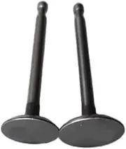 Intake and Exhaust Valve Compatible with 7.5HP Engine Fits RGX3500 RGX3510 and Similar Models