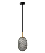 Kathal Interior Ellipse Glass Segmented with Brass Highlight Enclosed Pendant Light Smoky Black