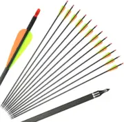 12 Pack Archery 31'' Carbon Fiber Shaft Arrows for Compound Bow and Recurve Bow