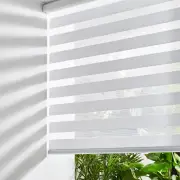 Cordless Zebra Roller Window Shades Free-Stop Roller Blinds (32" W X 72" H, Whit