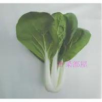 在飛比找蝦皮購物優惠-【野菜部屋~】F10 松柏奶油白菜種子2公克 , 葉片大 ,