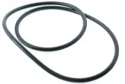 Onga Pantera Cartridge Filter Lid O'ring Genuine For Original Model