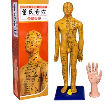 中國針灸學術史大綱的價格推薦- 2025年11月|飛比價格