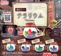 在飛比找Yahoo!奇摩拍賣優惠-【奇蹟@蛋】ToysSpirits (轉蛋)魔法石盆景品 全