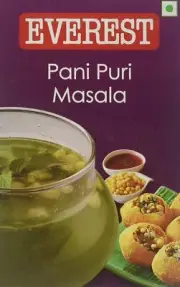 Everest Pani Puri Masala, 100g