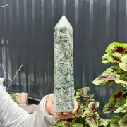 2.35LB Natural moss agate Quartz obelisk Crystal gem tower healing decor gift