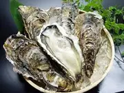 【海鮮肉舖】日本大生蠔 1kg±10% 生食級 大生蠔