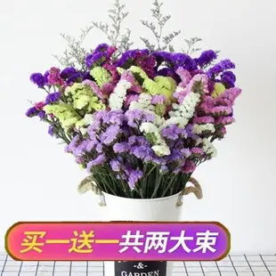 云南天然干花花束勿忘我真花裝飾擺件客廳大束插花滿天星送女朋友