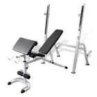 Fitness Multi-Station Gym Weight Bench Curl Press Incline AB Exercise Fitness