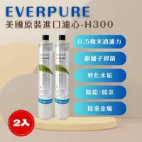 在飛比找momo購物網優惠-【PENTAIR濱特爾】EVERPURE H300/H-30