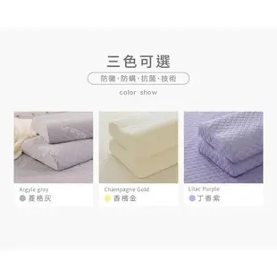 【1/3 A LIFE】親水涼感人體工學護頸型 60D記憶枕-2入-男女適用-三色布套