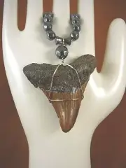 (sr260-9) Gorgeous Fossil 2-1/2" ANGUSTIDENS SHARK TOOTH hematite 20" necklace