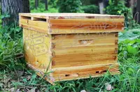 在飛比找樂天市場購物網優惠-蜜蜂蜂箱全套煮蠟巢礎巢框蜂巢蜂箱養蜂工具標準杉木中蜂蜂箱 D