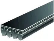 Multi Rib Belt For 1999, 2001-2006 Chrysler Sebring 2002 2003 2004 2005 MS879VH (for: Chrysler)